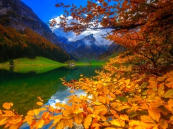 Drzewa, Jezioro, Jesień, Szwajcaria, Góry