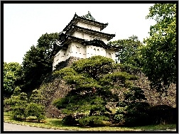 Drzewa, Cesarski, Pałac, Tokio, Fortyfikacje