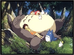 drzewa, My Neighbour Totoro, las