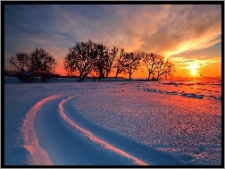 Drzewa, Słońca, Zachód, Śnieg