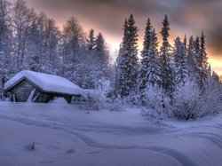 Drzewa, Dom, Zima, Śnieg