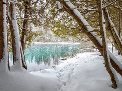 Stany Zjednoczone, Palms Book State Park, Drzewa, Zima, Śnieg, Rzeka, Michigan