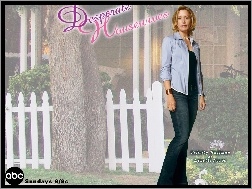drzewo, Desperate Housewives, Felicity Huffman