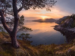Norwegia, Zatoka, Gmina Agdenes, Zachód słońca, Wzgórza, Jezioro, Drzewo