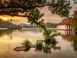 Sri Lanka, Jezioro, Gałęzie, Dom, Kandy Lake, Sztuczne, Drzewo