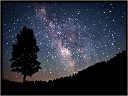 Noc, Drzewo, Gwiazdy