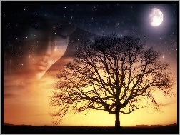 Drzewo, Księżyc, Twarz, Gwiazdy