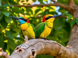 Grafika AI, Żołna, Konar, Dwa, Ptaki, Kolorowe, Drzewo