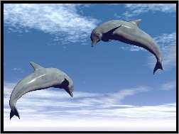 Delfiny, Dwa, Chmury
