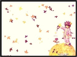 dziecko, liście, Saiyuki, kwiat