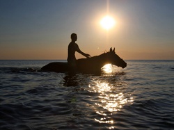 Dziewczyna, Słońce, Morze, Koń