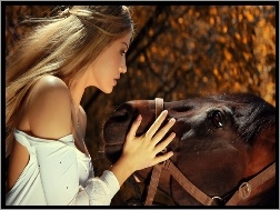 Przyjaciel, Dziewczyna, Koń
