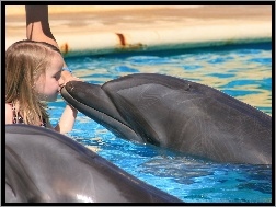 Pocałunek, Dziewczynka, Delfiny