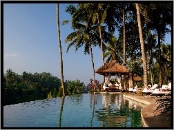 Dżungla, Basen, Palmy, Hotel, Bali, Viceroy