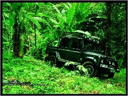 dżungla, Film Tomb Raider, samochód