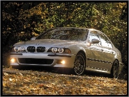 E39, BMW Seria M, BMW 5
