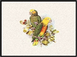 Edward Lear, Papugi, Kolorowe, Listki