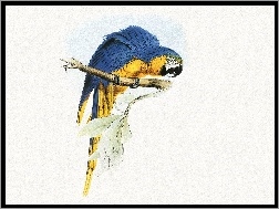 Edward Lear, Żółta, Niebiesko, Papuga