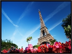 Eiffla, Paryż, Francja, Wieża