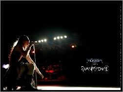 mikrofon, Evanescence, koncert