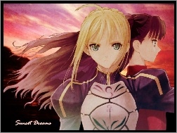 Fate Stay Night, dziewczyny