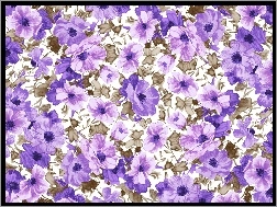 Tekstura, Fioletowe, Kwiatki