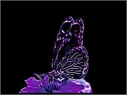 Kwiat, Fioletowy, Motyl