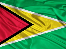 Flaga, Gujany