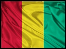 Flaga, Gwinea