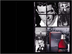 flakon, aktor, mężczyzna, Antonio Banderas, perfumy