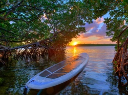 Zachód słońca, Deska surfingowa, Lake Worth Lagoon, Stany Zjednoczone, Floryda, Jezioro, Drzewa