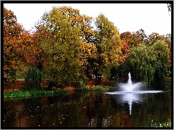 Fontanna, Kolorowe, Jesienią, Park, Drzewa