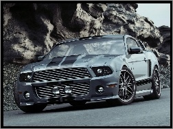 GT500, Ford Mustang