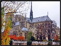 Francja, Notre Dame, Katedra, Paryż