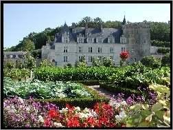 Ogród, Francja, Château de Villandry, Zamek w Villandry, Villandry