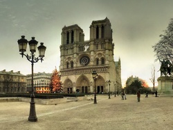 Francja, Dame, Choinka, Katedra, Paryż, Notre