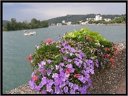 Francja, Kwiaty, Vienne, Rzeka, Panorama