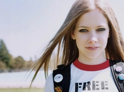Free, Avril Lavigne, Koszulka