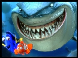 Finding Nemo, rybki, rekin, Gdzie jest Nemo