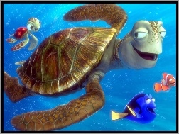 Gdzie Jest Nemo, żółw, rybki