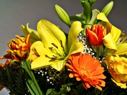 Gerbery, Lilie, Kwiatów, Bukiet, Tulipany