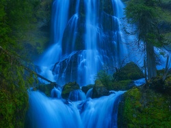 Gifford Pinchot National Forest, Wodospad Fall Creek Falls, Stan Waszyngton, Stany Zjednoczone, Las