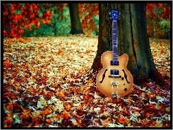 Li�cie, Gitara, Drzewo