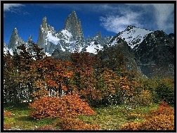 Glaciares, Park, Patagonia, Narodowy