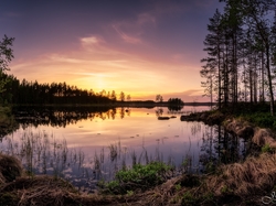 Jezioro Haukkajarvi, Gmina Ruovesi, Finlandia, Drzewa, Park Narodowy Helvetinjarvi, Zachód słońca