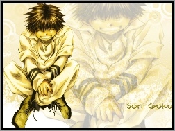 gold, Saiyuki, son goku