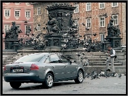 gołębie, Audi A6, Pomnik