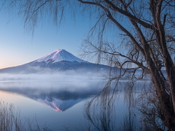 Japonia, Lake Kawaguchi, Mount Fuji, Stratowulkan Fudżi, Drzewa, Jezioro, Góra