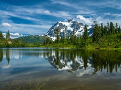 Góra, Jezioro, Las, Mount Shuksan, Park Narodowy Północnych Gór Kaskadowych, Stan Waszyngton, Stany Zjednoczone, Drzewa, Góry, Picture Lake