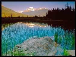 Kanada, Góra, Athabasca
